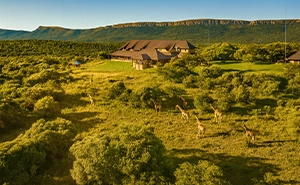 Narconon Africa Maanhaarrand